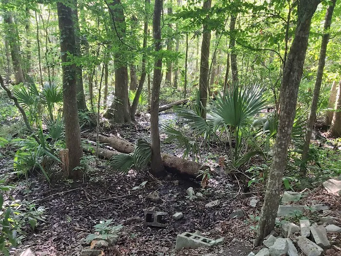 Hawkins Creek Campground Picture 3