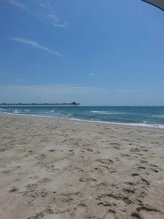 Camp Ocean Forest Picture 10