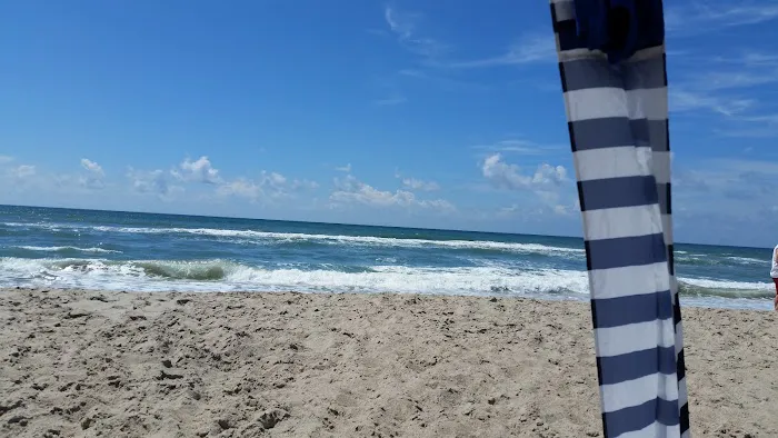 Camp Ocean Forest Picture 3