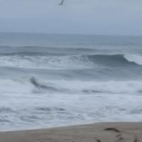 Camp Ocean Forest ico