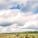 Cedar Point Campground