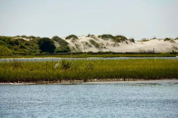 Waterway Campground Picture 10