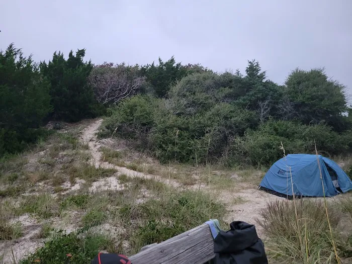 Bear Island Forest Camp Picture 8