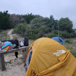 Bear Island Forest Camp