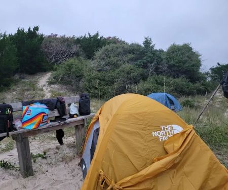 Bear Island Forest Camp