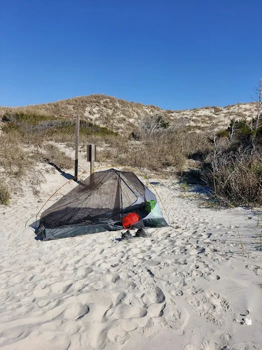 Bear Island Forest Camp Picture 3