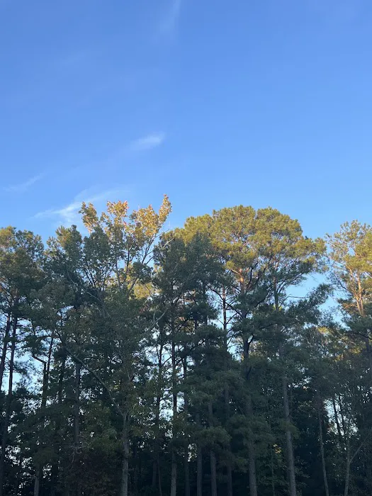 Cattail Creek Campground Picture 4