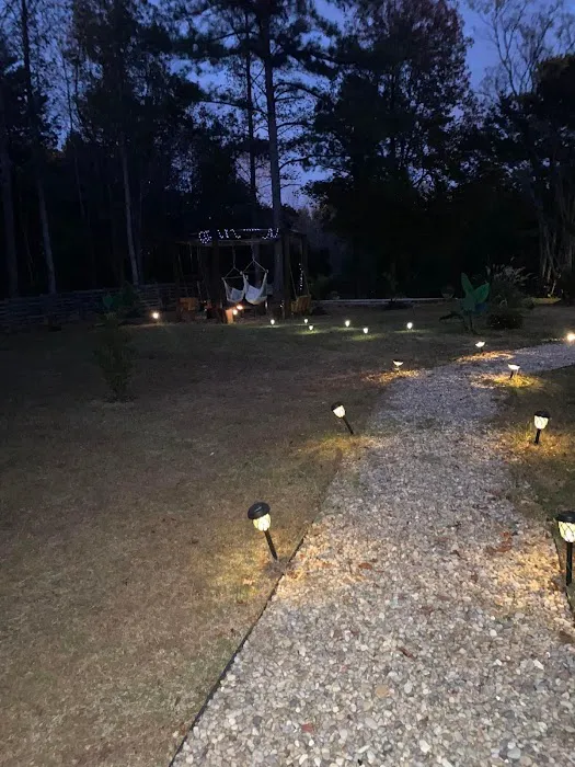 Evelyn’s Island Picture 1