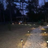 Evelyn’s Island ico