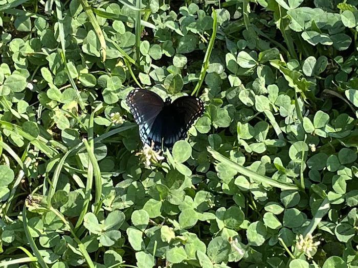 East Harbor Campground and RV Park Picture 4