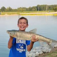 Tall Timbers Campground & Resort ico