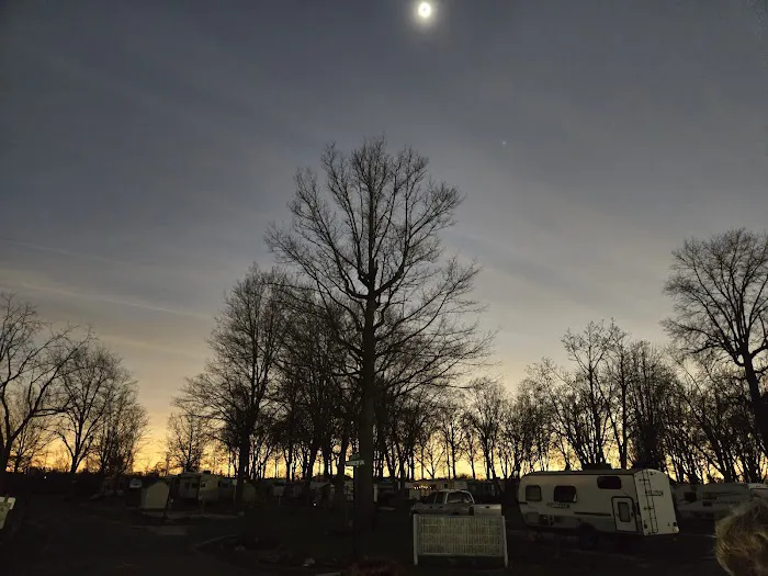 Tall Timbers Campground & Resort Picture 5