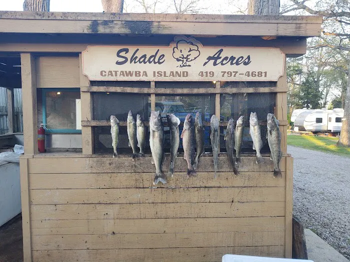 Shade Acres Picture 1