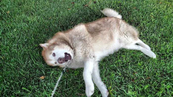 Lake Erie RV Resort - Family Camping Center Picture 4