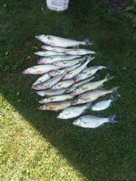 Lake Erie RV Resort - Family Camping Center Picture 3