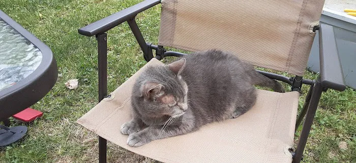 Goldeneye Campgrounds Picture 4