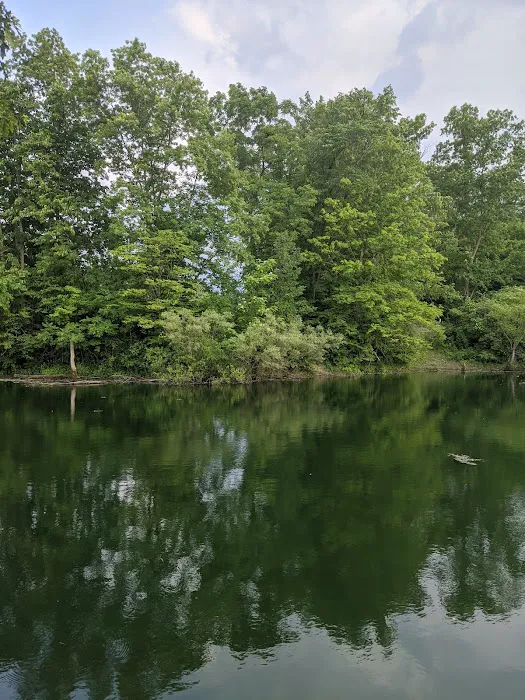 Leafy Oaks Campground Inc Picture 8