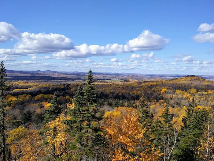 Baptist Park Campground Picture 2