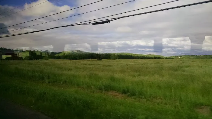 Neil E Michaud Campground Picture 4