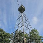 Deboullie Pond East Campsite