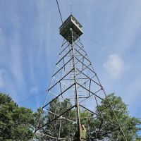 Deboullie Pond East Campsite ico