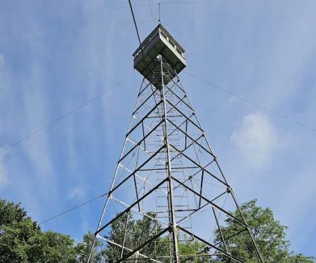 Deboullie Pond East Campsite