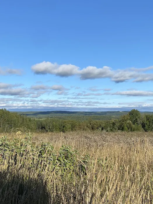 The High'D Away Picture 1