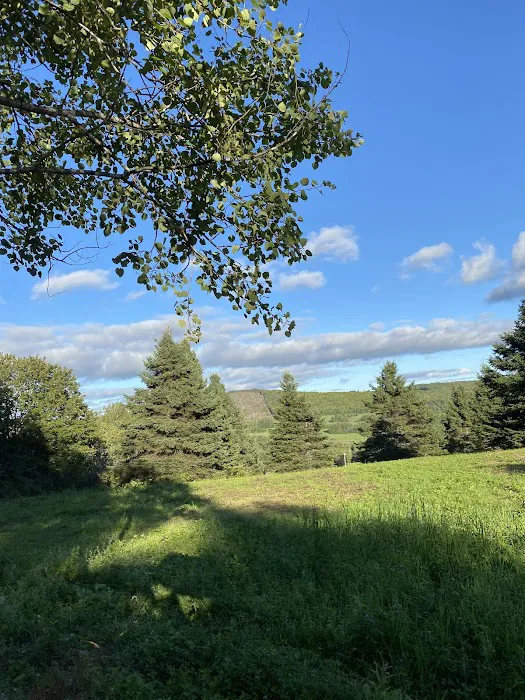 The High'D Away Picture 8