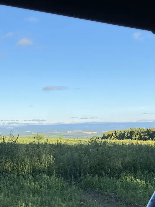 The High'D Away Picture 2