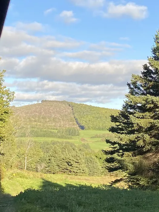 The High'D Away Picture 6