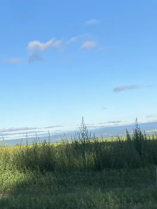 The High'D Away Picture 3