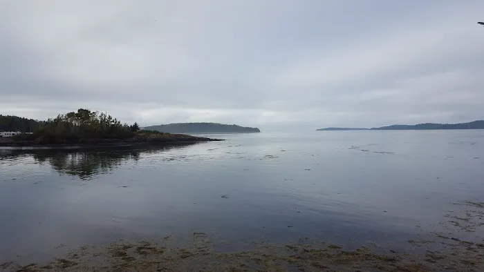Seaview Campground & Cottages Picture 3