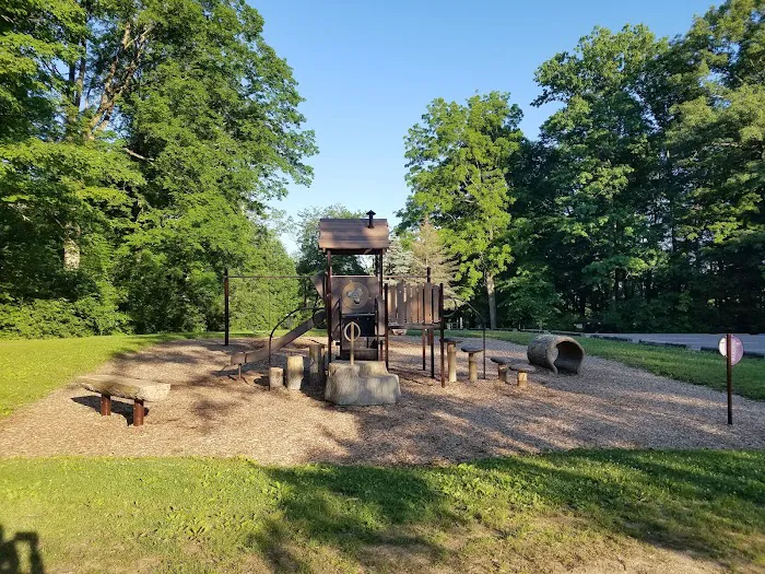 Mt. Gilead State Park Campground Picture 3