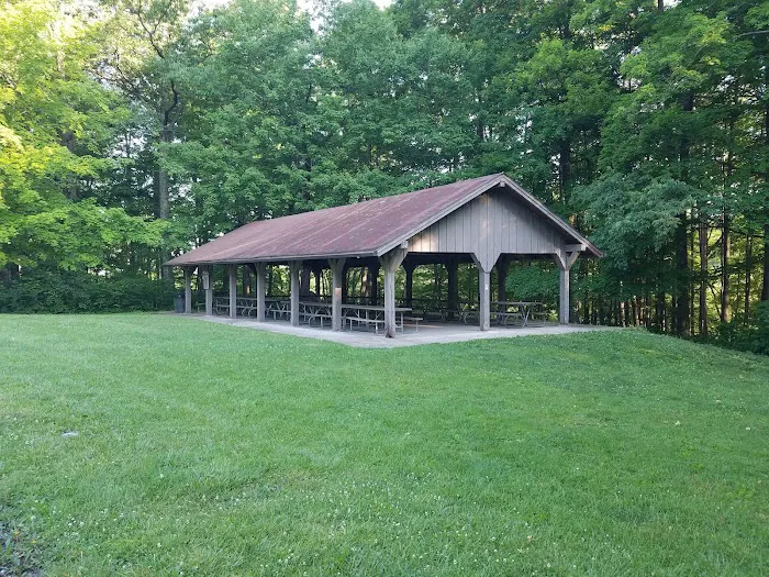 Mt. Gilead State Park Campground Picture 2