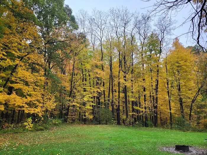 Mt. Gilead State Park Campground Picture 6