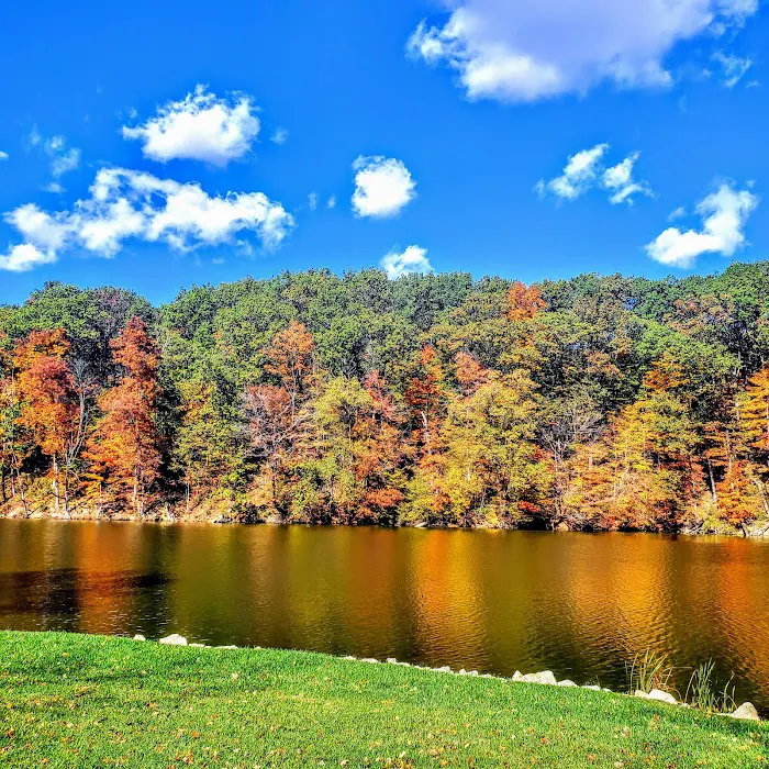 Mt. Gilead State Park Campground Picture 8