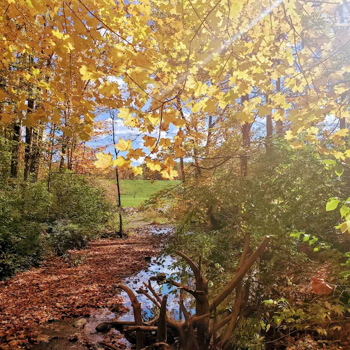 Mt. Gilead State Park Campground Picture 9