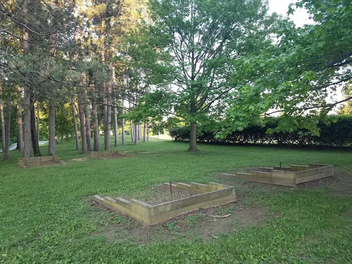 Mt. Gilead State Park Campground Picture 7