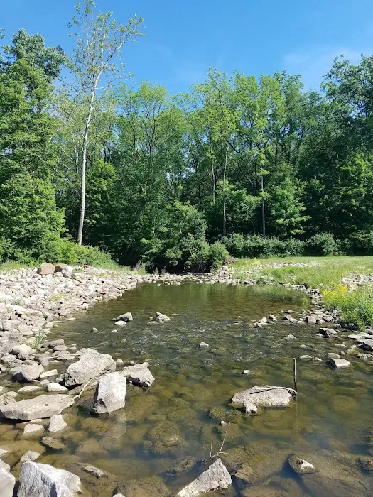 Mt. Gilead State Park Campground Picture 4