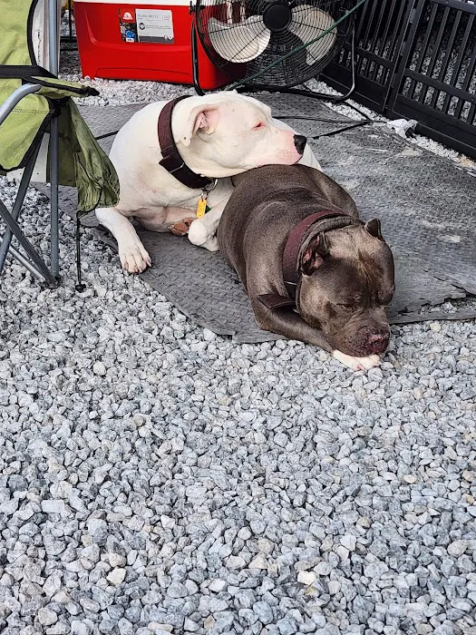 Smokey's Mini Lake Campground Picture 2