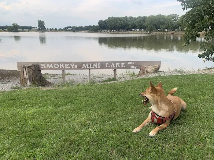 Smokey's Mini Lake Campground Picture 3