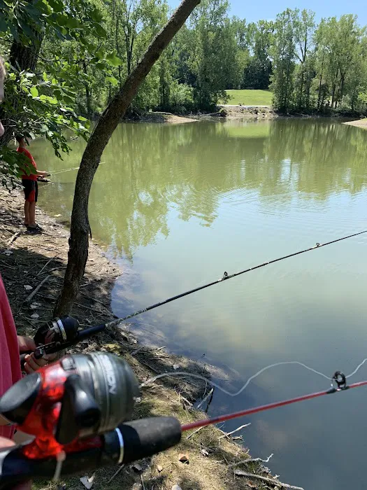 Island View Campgrounds Picture 3