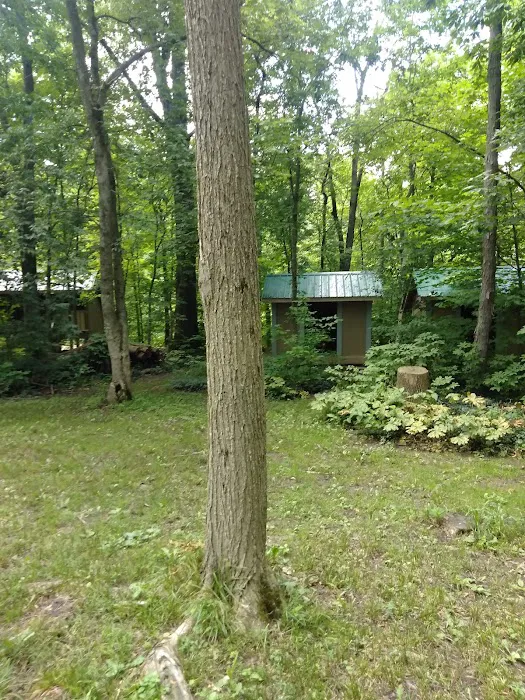 Tymochtee Creek Youth Camp Picture 2