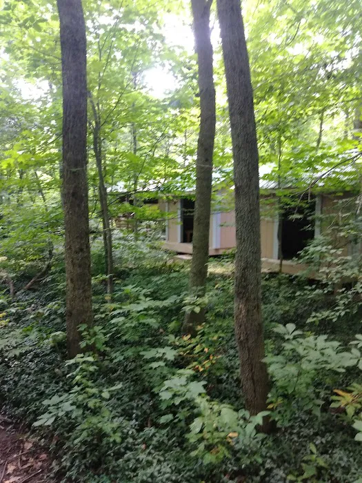 Tymochtee Creek Youth Camp Picture 1