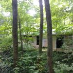 Tymochtee Creek Youth Camp