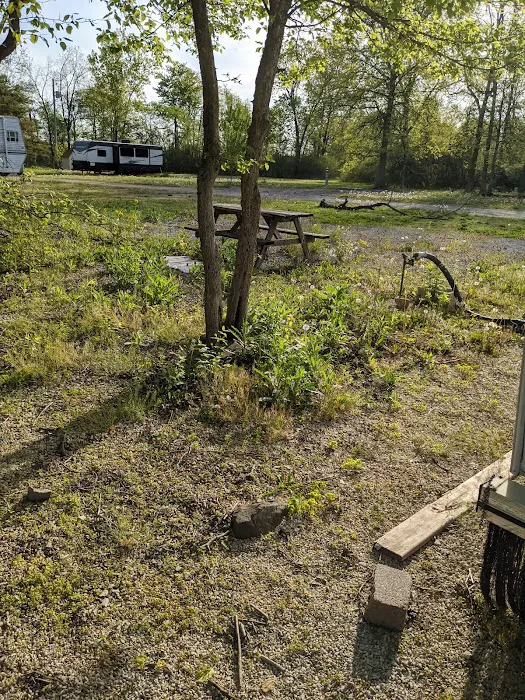 Wooded Acre Campground Picture 10