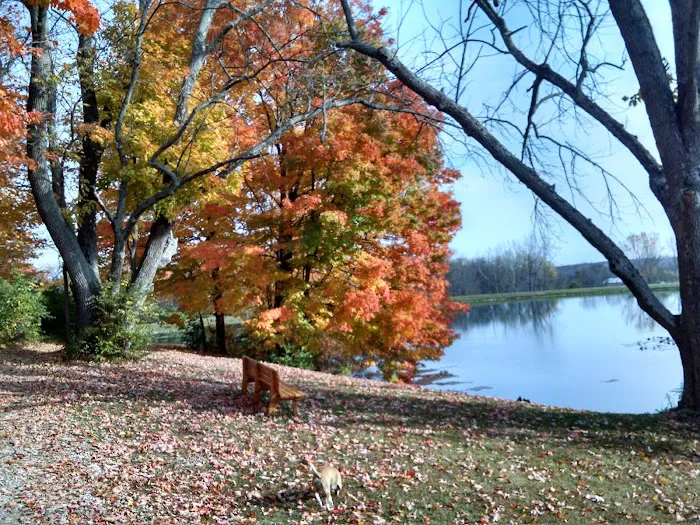 Berkshire Campground Picture 9