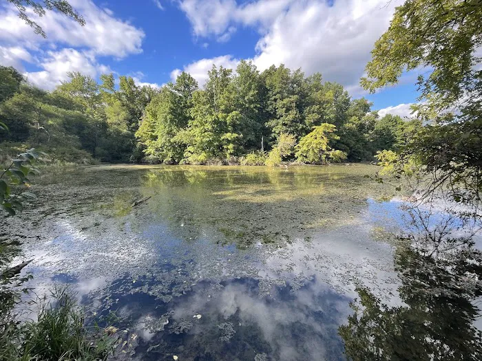 Alum Creek State Park Campground Beach Picture 2
