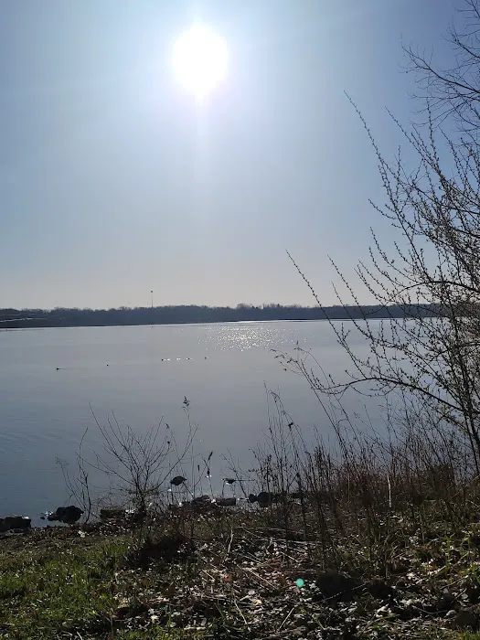 Alum Creek State Park Campground Beach Picture 1