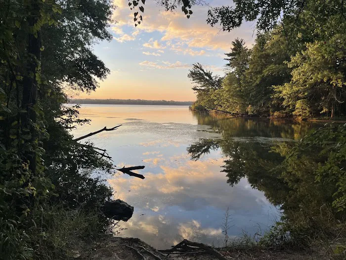 Alum Creek State Park Campground Beach Picture 9